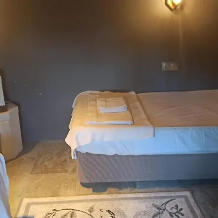 Tas Ev Villa